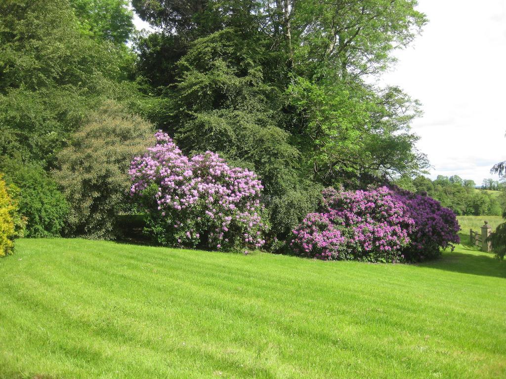 Glebe House Hotel Mohill Buitenkant foto
