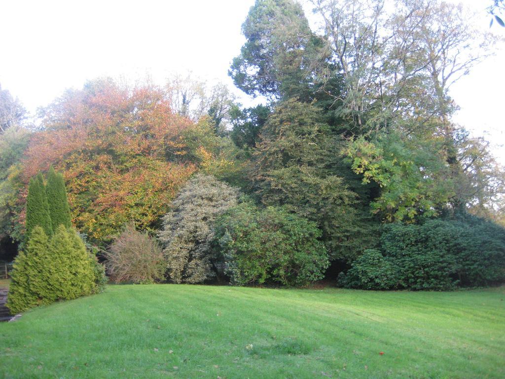 Glebe House Hotel Mohill Buitenkant foto